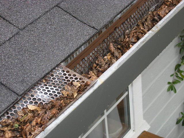 Gutter is full